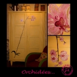 Orchidées...